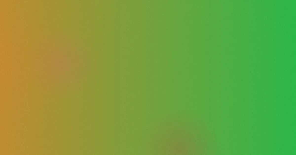 S686避坑：看懂机制再上手